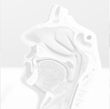 Dr. Juan Angel Ibarra Cantú - Otorrinolaringología 